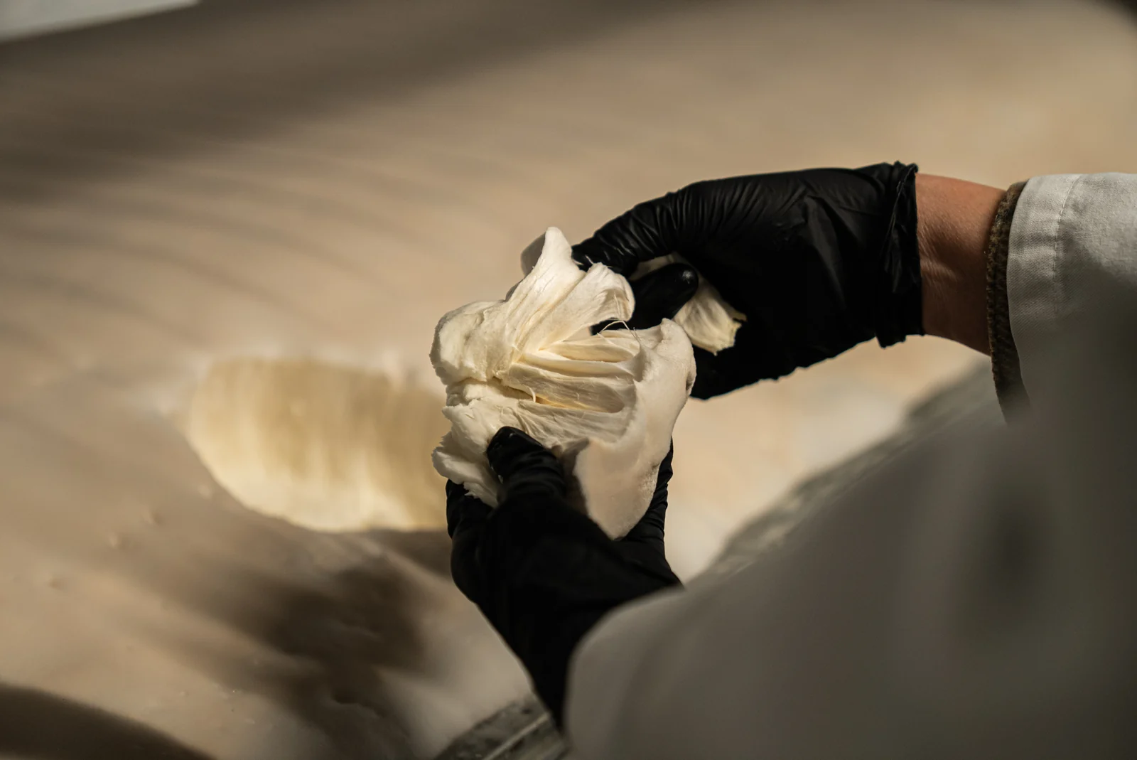 Gloved hands pull apart a mycelium sheet, revealing its fibers