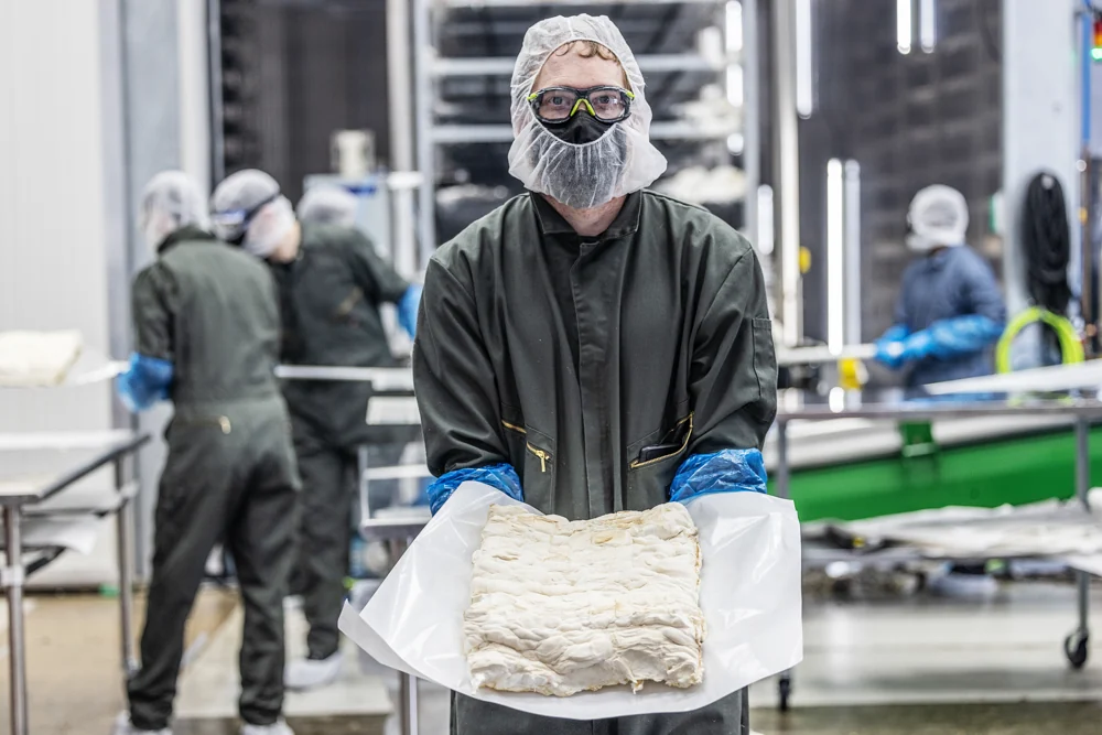 A worker holds a whole harvested mycelium sheet